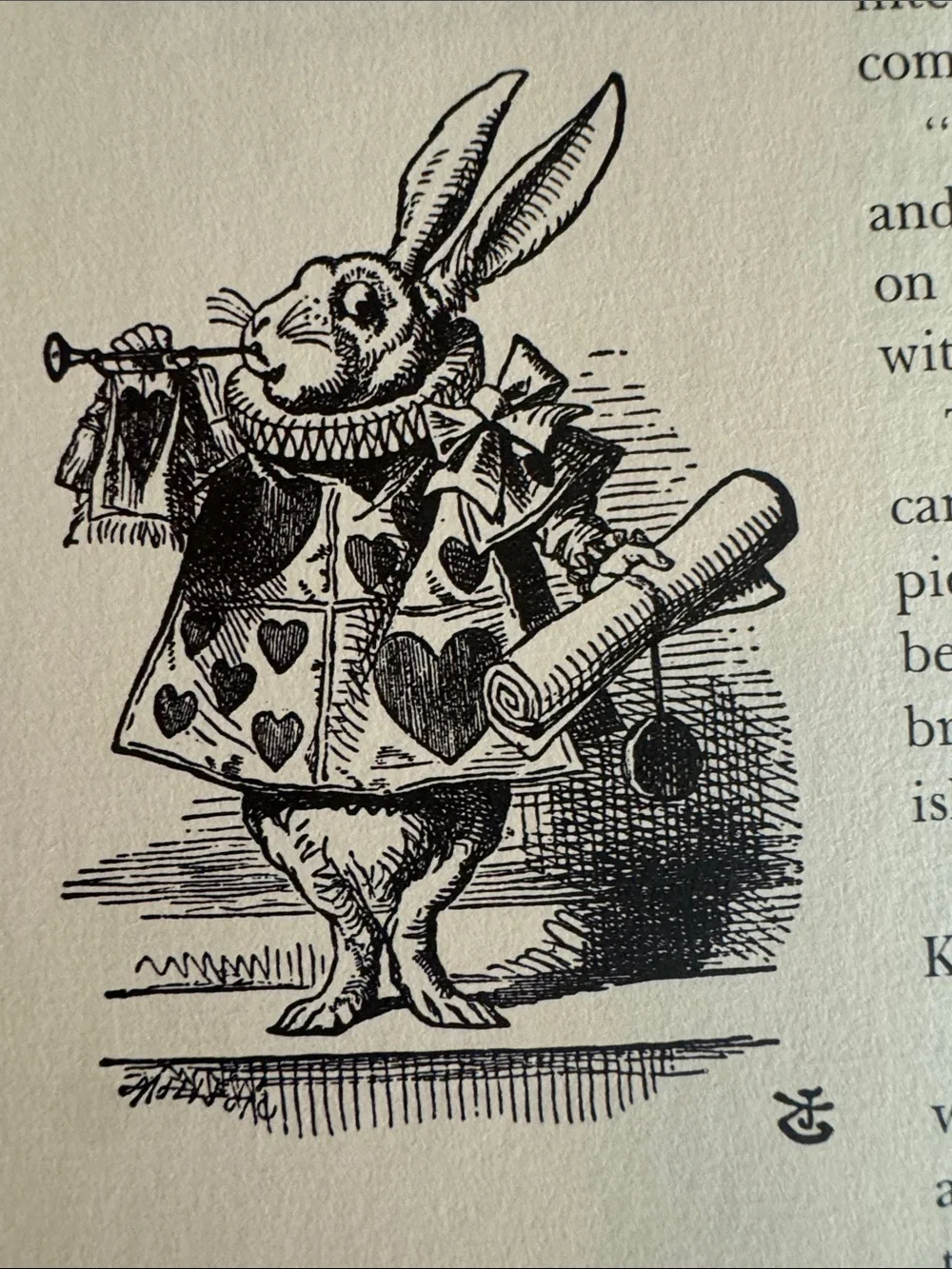 1960 Vintage The Annotated Alice by Lewis Carroll With Amazing Illustrations
